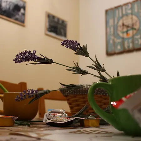 Il Vicoletto Appartamento *